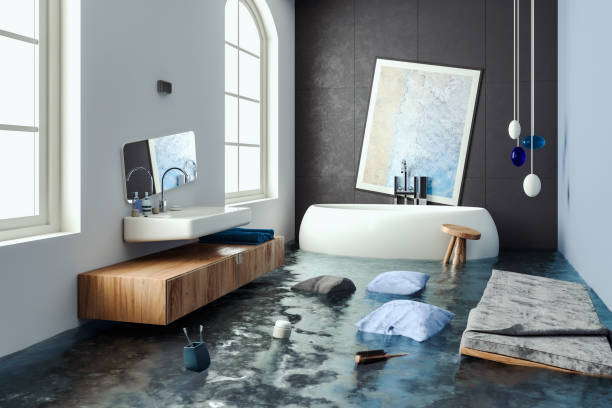 Best Water damage restoration experts  in Mount Dora, FL