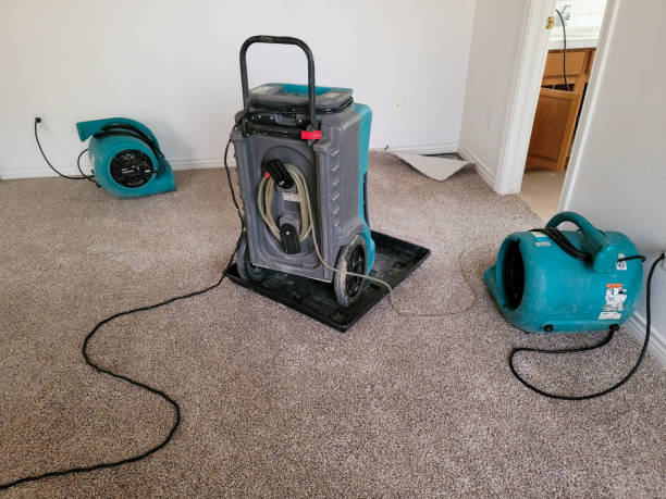 Best Ceiling water damage repair  in Mount Dora, FL