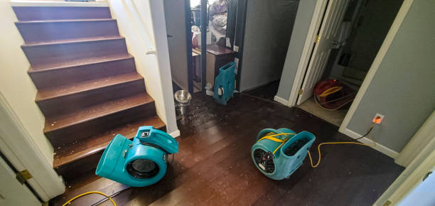 Best Water damage restoration near me  in Mount Dora, FL
