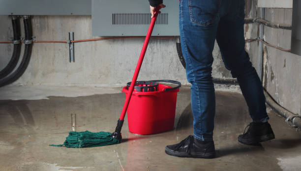 Best Residential water damage restoration  in Mount Dora, FL