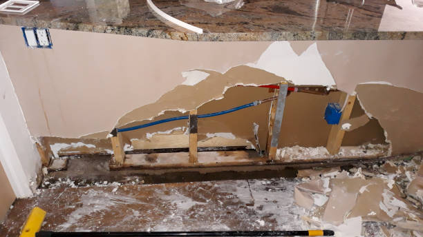 Best Water damage repair service  in Mount Dora, FL