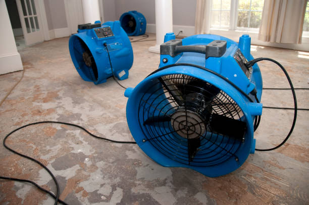 Trusted Mount Dora, FL Water damage restoration Experts