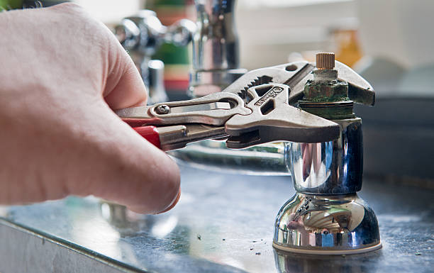 Best Mold removal after water damage  in Mount Dora, FL
