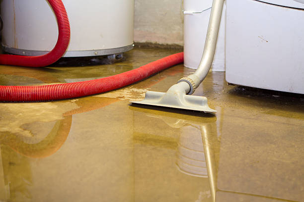Sewage cleanup and water damage restoration in Mount Dora, FL