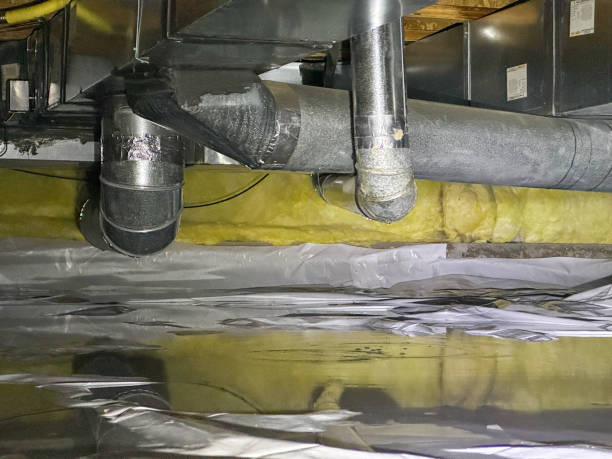 Best Water damage contractors near me  in Mount Dora, FL