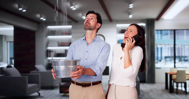 Best Water damage restoration near me  in Mount Dora, FL