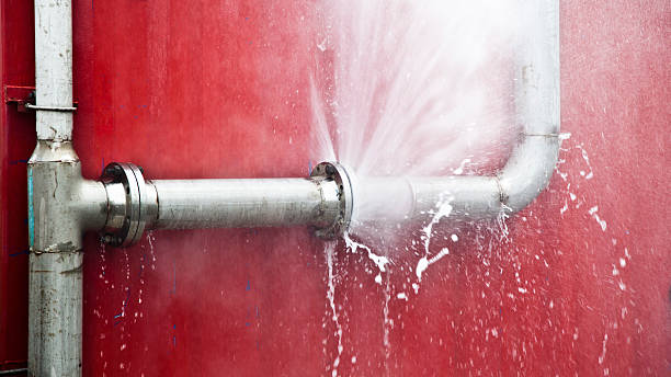 Best Carpet water damage restoration  in Mount Dora, FL
